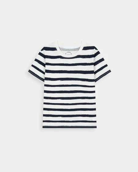 Boys Graphic Tee (Pack Of 3)